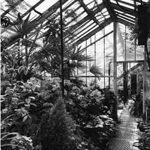 Greenhouses at The Oakes