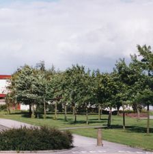 JB Rowlinson Campus 1988  (2)