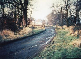 JE32 Top of the drive, School Lane beyond. Before Wimpey houses built