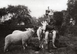 M62 Rowland Unwin, village pump, sheep and goat, Little Norton Gre en.