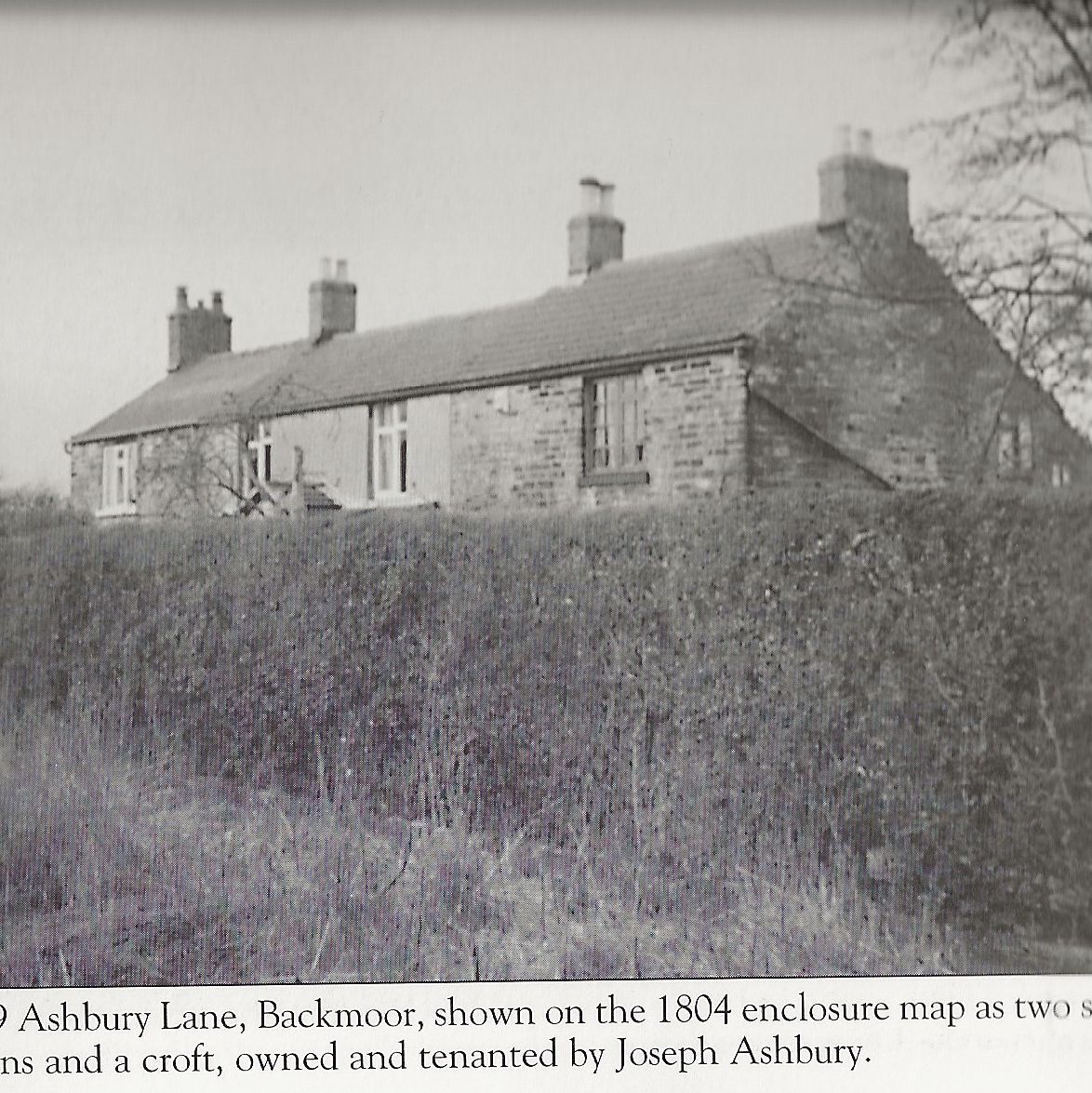 Ashbury Lane, Backmoor