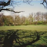 SG103 Vicarage Field, gate & large oak on Norton Church Road side , fr