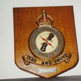 SG163 RAF Shield at Mandela School