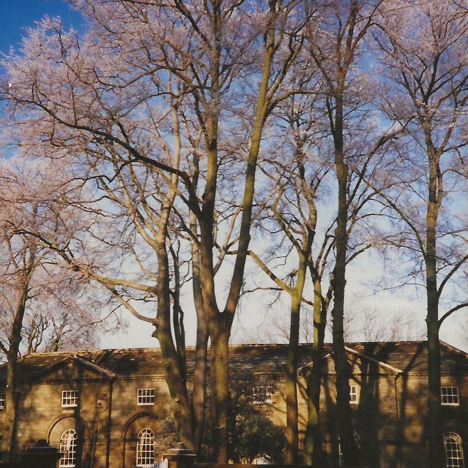 SG212 Norton Hall Stables . Hoar frost on trees. 27Dec95