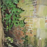 SG220 Hollow stone-brick wall on eastern side of old kitchen garden at