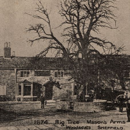 SG52 Big Tree Masons Arms Woodseats Sheffield 1874