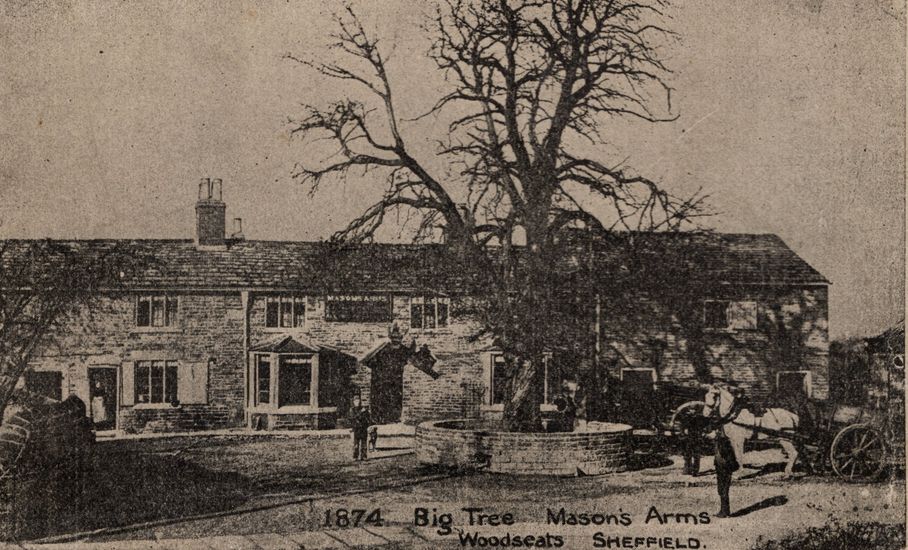 SG52 Big Tree Masons Arms Woodseats Sheffield 1874