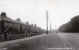 s114 Meadowhead. Postcard No.6  Top of road, houses left, trees right,