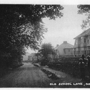 s14 School Lane Norton  Postcard